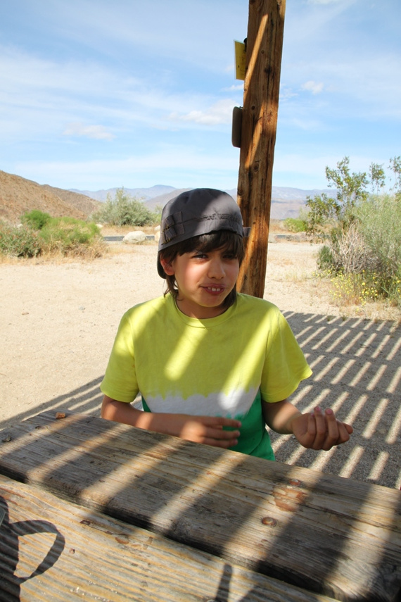 Anza Borrego Desert State Park